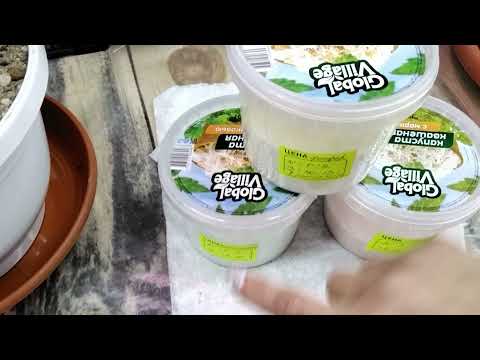 Видео: #303.Чудодейственное средство для подкормки пеларгонии! От него листья будут зелёными,блестящими!