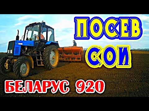 Видео: Трактор Беларус 920 МТЗ Посев сои Сеем сою Сеялка Севалка #vseklevo #синийтрактор сеять сою на поле