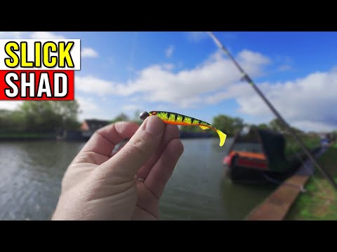 Видео: Ловля на приманку на канале - Fox Rage Slick Shad
