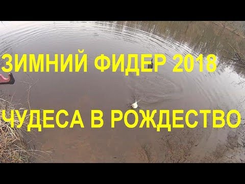 Видео: ЗИМНИЙ ФИДЕР 2018.ЧУДЕСА В РОЖДЕСТВО