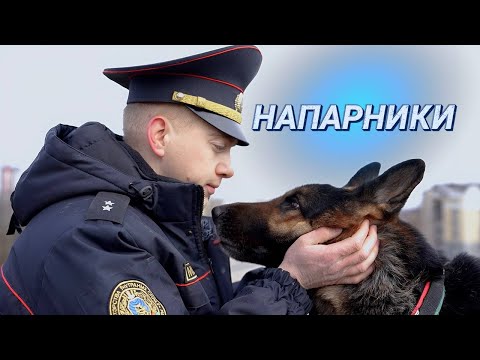 Видео: Самый дорогой АЛМАЗ в мире! || Кинолог - это призвание || Департамент охраны МВД