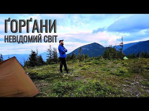 Видео: Я знайшов дике місце в горах ! Гора Дальня .