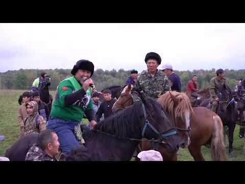 Видео: Аламан улак Новосибирск шаарында