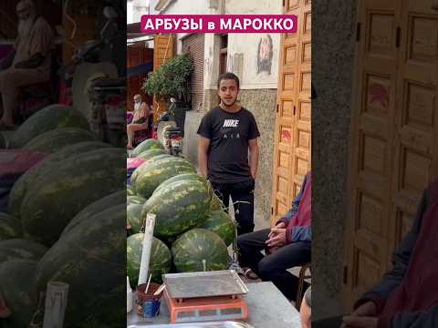 Видео: #касабланка #тревелвлог #отдых #марокко #travel #юмор #morocco #casablanca #shorts #касабланка2025