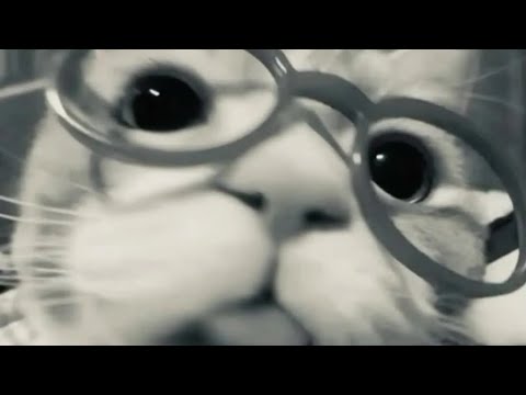 Видео: Побег от проклятого пингвина 1 часть 