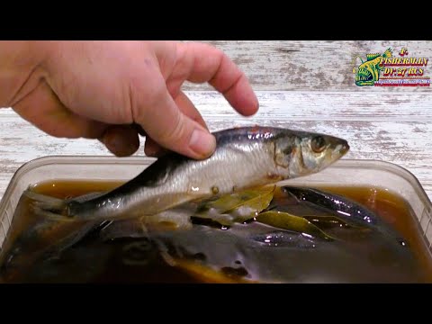 Видео: Иваси, малосольная, жирная и очень вкусная засоленная по рецепту ГОСТ-1988 года