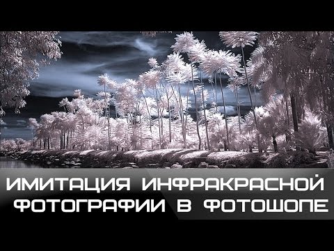 Видео: Эффект инфракрасной фотографии. Infrared Photo Effect
