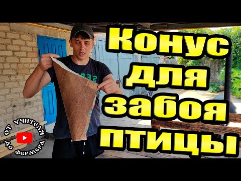 Видео: Лучший конус для забоя птицы!