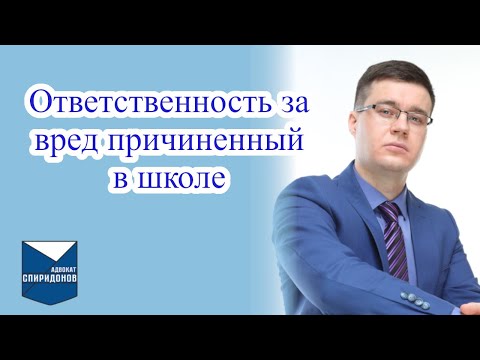 Видео: Кто несет ответственность за вред, причиненный в школе? Консультация адвоката.