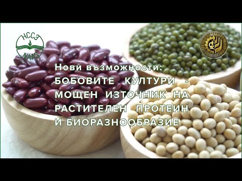 Видео: Нови възможности: бобовите култури – мощен източник на растителен протеин и биоразнообразие
