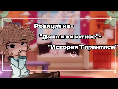 Видео: •Реакция на- "Даша и животное"- История Тарантаса"◇