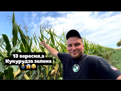 Видео: Коли голова на місці-диплом і даром не треба😂бетон- це його стихія 💪Kronos 3m велес агро