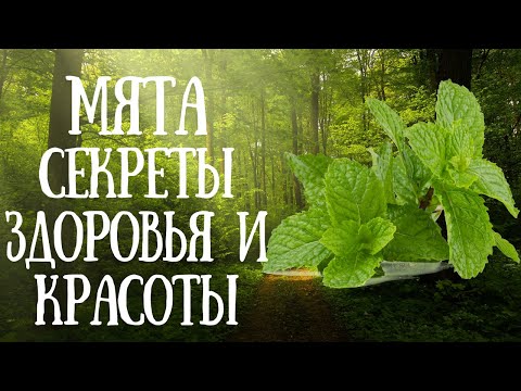 Видео: #мята  Секреты здоровья и красоты #фитотерапия #здоровье #health