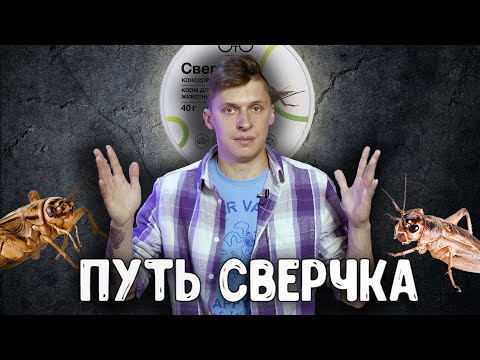 Видео: Кормовые насекомые - как это сделано? Сверчковая ферма, консервированные тараканы, компания ONTO.
