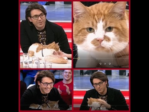 Видео: Боря в гостях у Малахова ) Аффтар жжот. Автор жжот 1.04.17