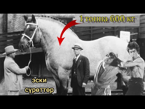 Видео: Эски сүрөттөр сырлары / Сулайман Жанботоев