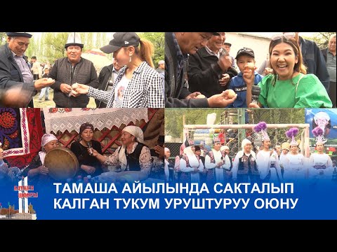Видео: ТАМАША АЙЫЛЫНДА САКТАЛЫП КАЛГАН ТУКУМ УРУШТУРУУ ОЮНУ
