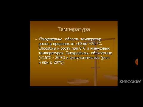 Видео: Введение в медицинскую микробиологию