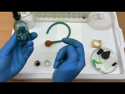 Видео: Подсчёт лейкоцитов в счётной камере под микроскопом