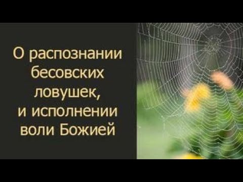 Видео: О распознании бесовских ловушек и исполнении воли Божией