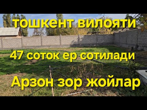 Видео: Уй сотилади 47 соток курук ер уралаган участка