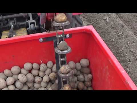 Видео: Посадка картофеля двухрядной сажалкой.БЕЛАРУС 320.4