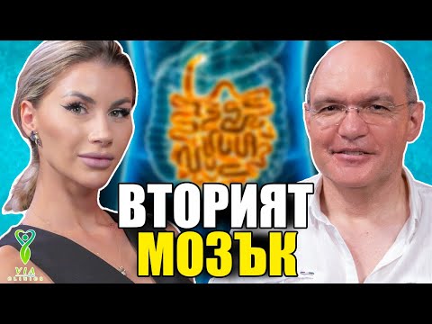 Видео: Вторият мозък - разговор с д-р Виктор Камбуров | Via Clinics