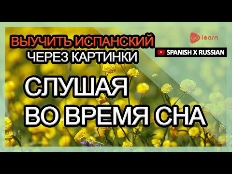 Видео: Выучить испанский через картинки |испанский словарь Слушая во время сна | Golearn