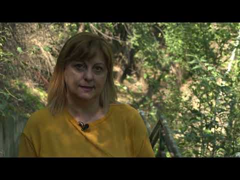 Видео: Еврејските гробишта во Македонија