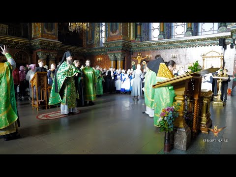 Видео: Славление всем святым Оптиной пустыни | 24.10. 2022 г.