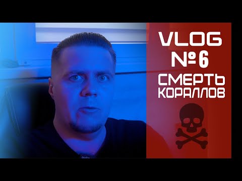 Видео: VLOG 6 Смерть Кораллов