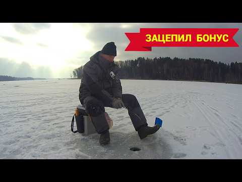 Видео: ЭТА РЫБА НЕ ЛЕЗЕТ В ЛУНКУ. Такого я не ожидал. Рыбалка в феврале на ИСТРЕ.