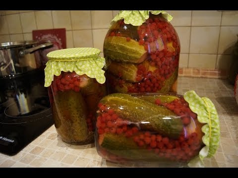 Видео: ОГУРЦЫ БЕЗ УКСУСА С КРАСНОЙ СМОРОДИНОЙ. СУПЕР РЕЦЕПТ.