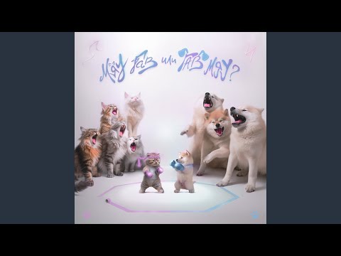 Видео: каково это