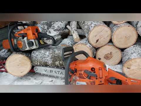 Видео: Новая делянка и Хускварна через пять лет.