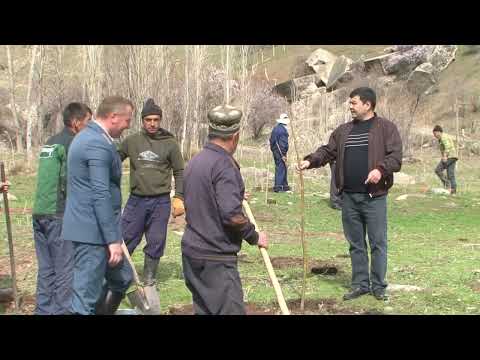 Видео: Нихолшинони Корхонаи давлатии хоҷагии ҷангали «Қаратоғ» и шаҳри Турсунзода