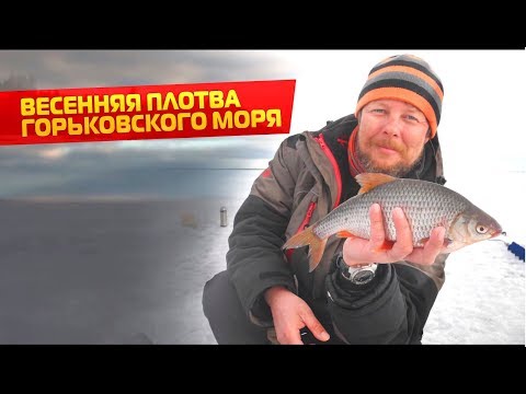 Видео: Ловля плотвы по последнему льду. Горьковское водохранилище.