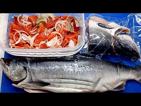 Видео: ЛОСОСИ ДИКИЕ СЕМУЖНОГО ПОСОЛА ГОСТ 16080-2019,ГОСТ 13686-68 ДЕЙСТВУЮЩИЙ,ТЕХ.ИНСТРУКЦИЯ №272 1991