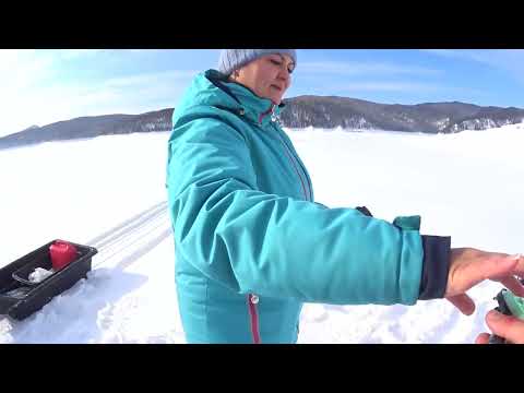 Видео: НЕ РУГАЙСЯ ГОВОРИЛА ОНА . РЫБАЛКА С ЖЕНОЙ.