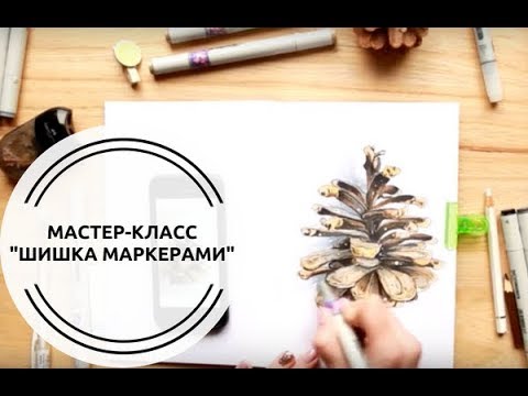 Видео: Учимся рисовать кедровую шишку маркерами Sketchmarker | поэтапно