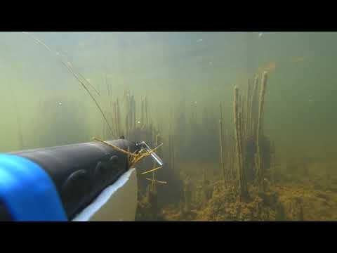 Видео: подводная охота Маныч. пеленгас варвар испытание боем. прозрак 80го уровня)