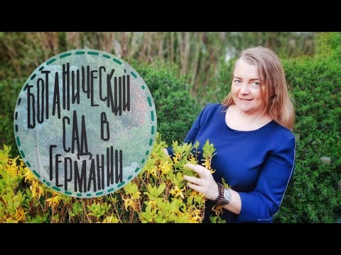 Видео: #31☘️Приглашаю вас прогуляться по замечательному ботаническому саду в Германии, город Франкфурт.☘️
