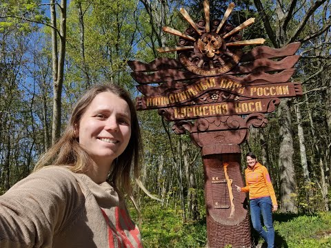 Видео: КУРШСКАЯ КОСА: исполнение мечты или разочарование? Что посмотреть самостоятельно? Цены. Озеро Лебедь