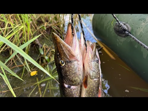 Видео: Рыбалка на блесны вертушки. Ловля щуки на блесны вертушки. Щука на блесну. Рыбалка на спиннинг.