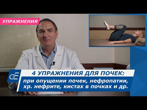 Видео: 4 упражнения для почек: при опущении почки / нефроптозе, пиелонефрите/нефрите, кистах в почках и др.