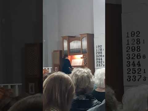 Видео: 31 октября 2025 г.