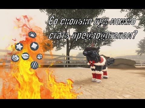 Видео: Со скольки ЛУН можно стать ПРЕДВОДИТЕЛЕМ/ГЛАШАТАЕМ И ТД.