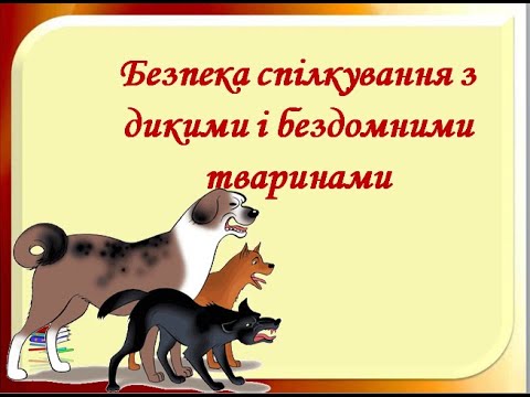 Видео: Урок 92-93 ЯДС  Безпека спілкування з дикими та бездомними тваринами. 2 клас