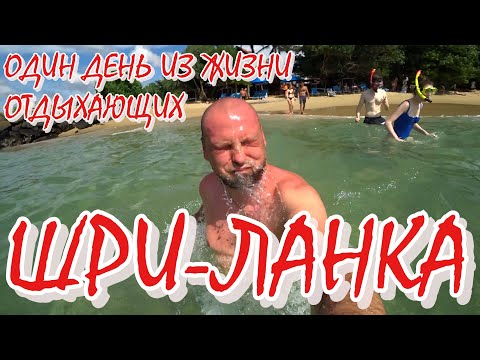 Видео: ОДИН ДЕНЬ ИЗ ЖИЗНИ ОТДЫХАЮЩИХ НА ШРИ-ЛАНКЕ #шриланка  #slaviklife  #славиклайф
