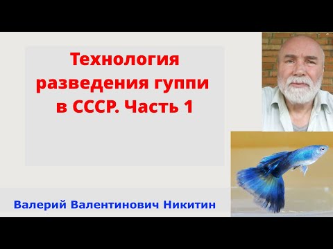 Видео: Технология разведения гуппи в СССР. Часть 1